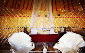Traditional Yurt @ Longleat